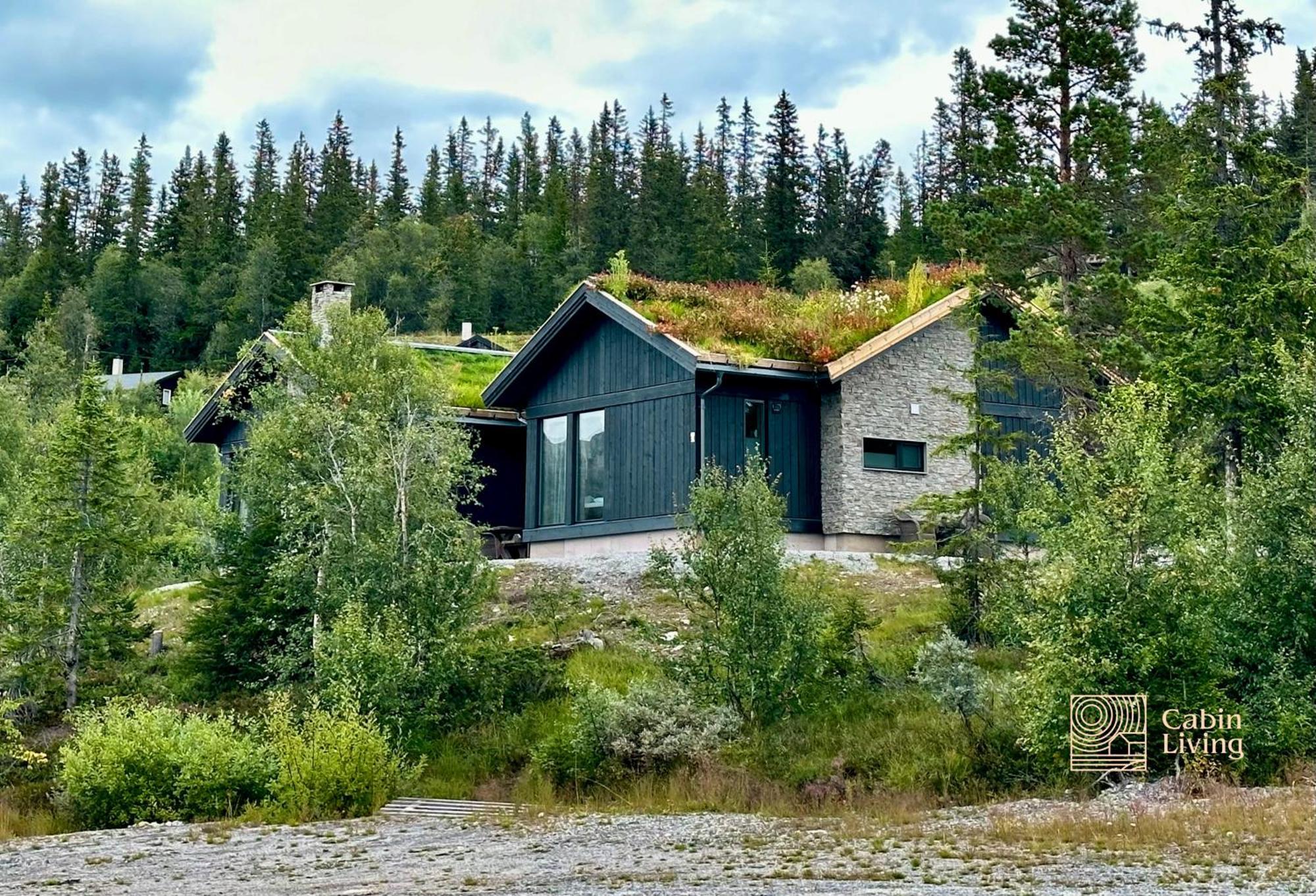Brand New Cabin On The Sunny Side Of Gaustatoppen With A Great View Tuddal Exterior photo